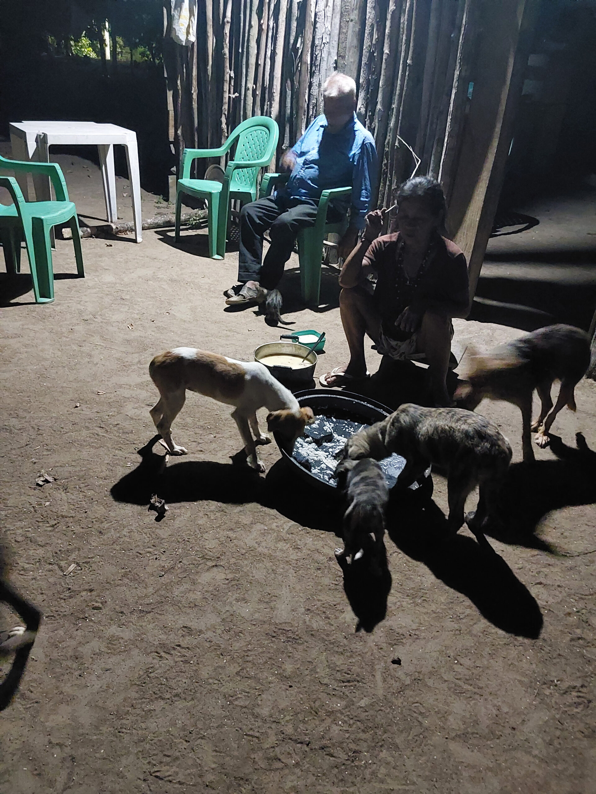 avos-cachorros-e-gato_ana-janete_5