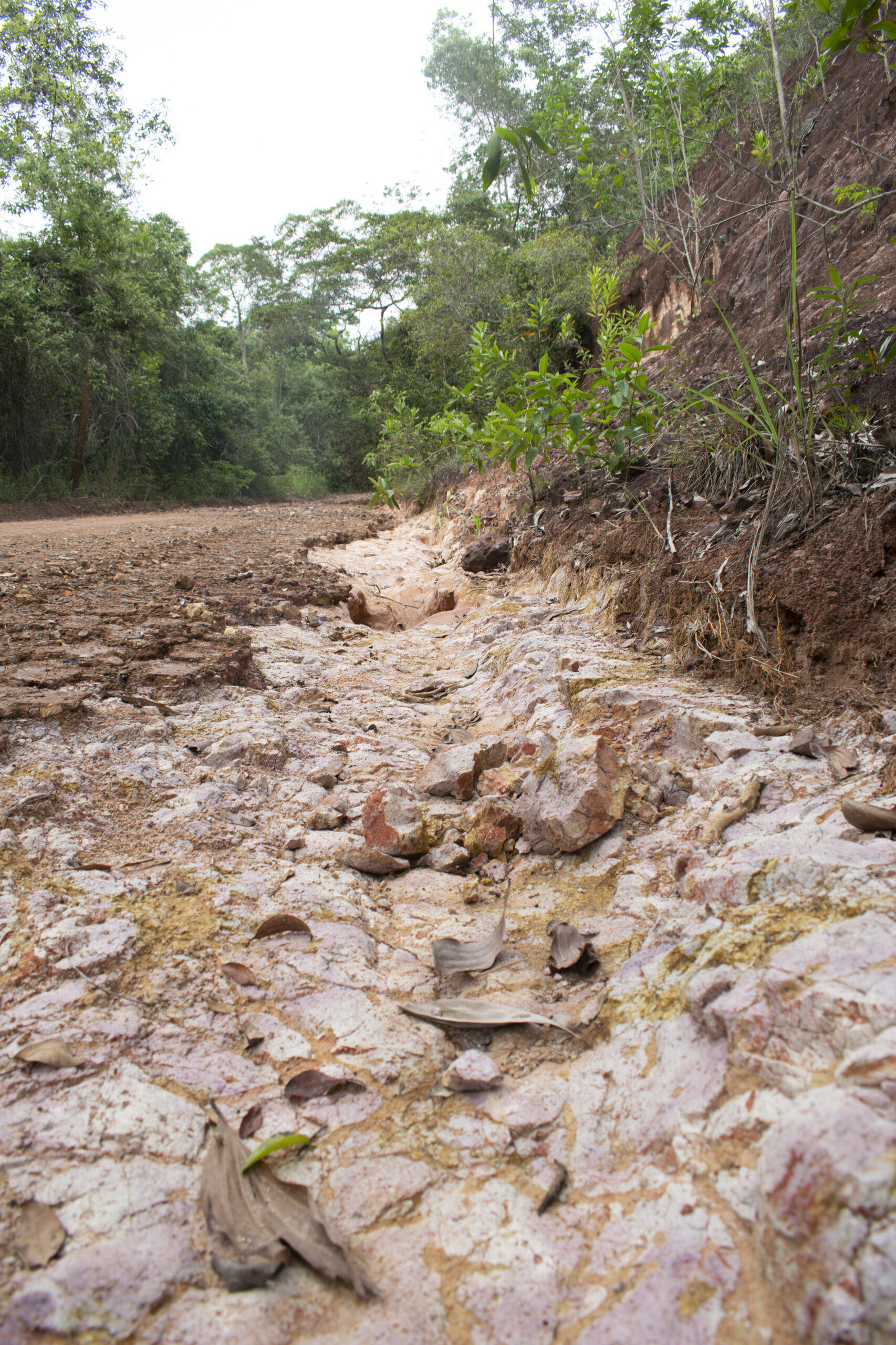 caminho-de-cores_gilcaflores_05