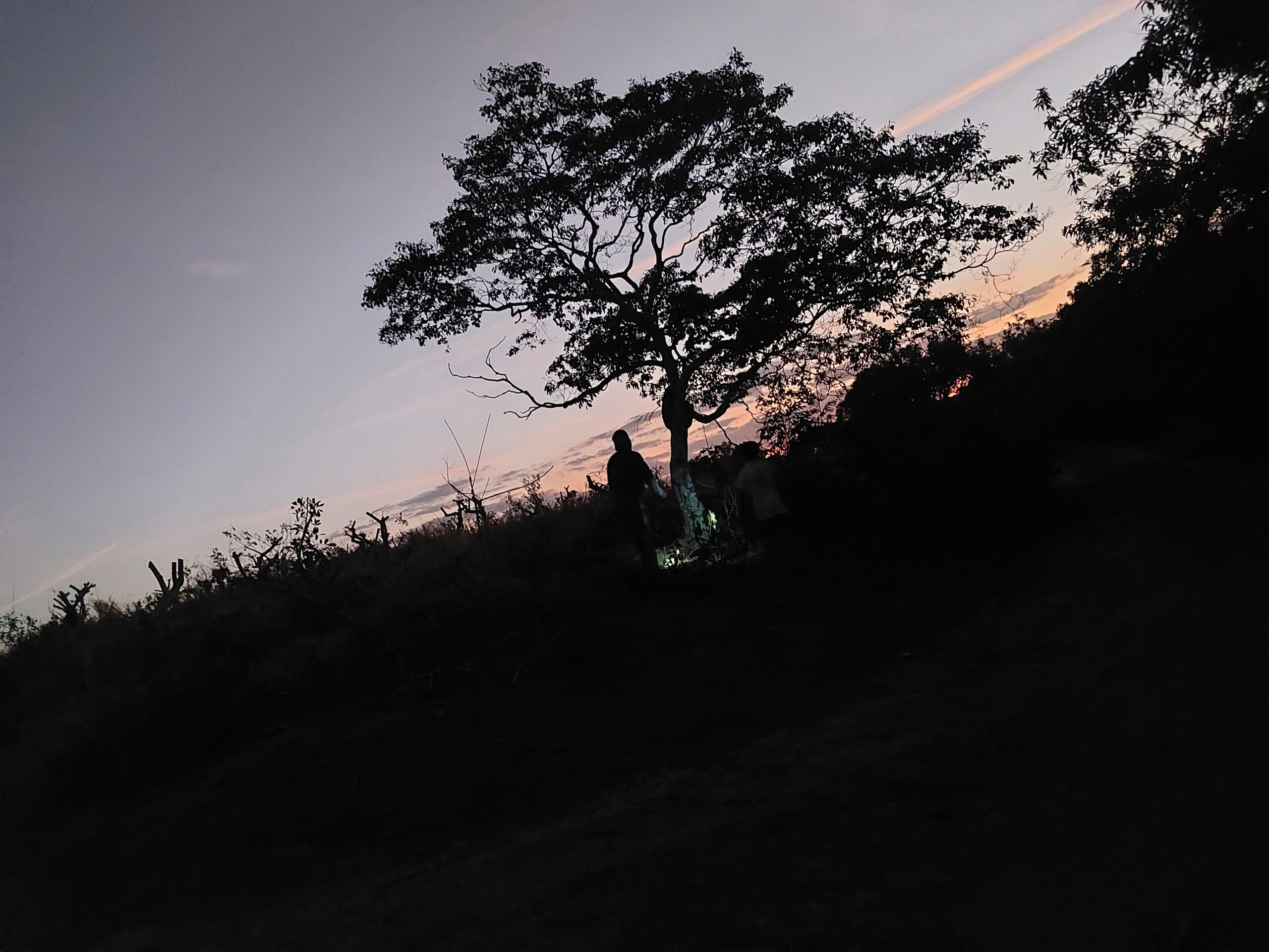 [com-o-tio-buscando-mel]_ana-janete_33