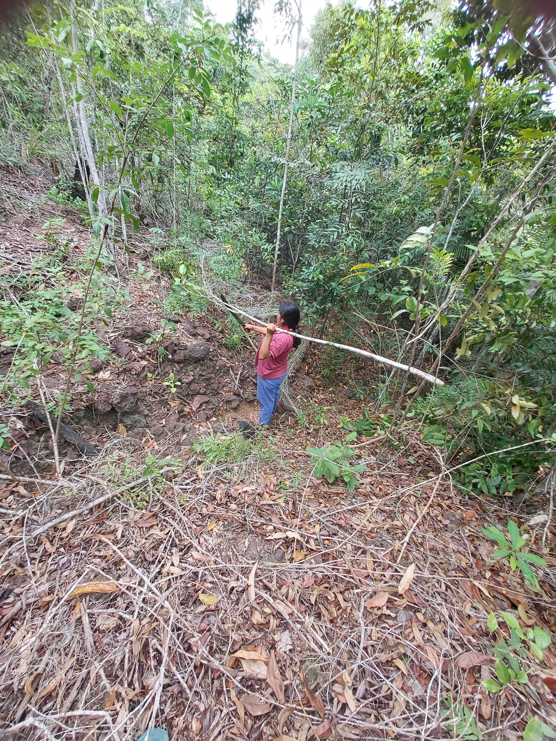 [jane-trabalhando-na-mata]_ana-janete_29b