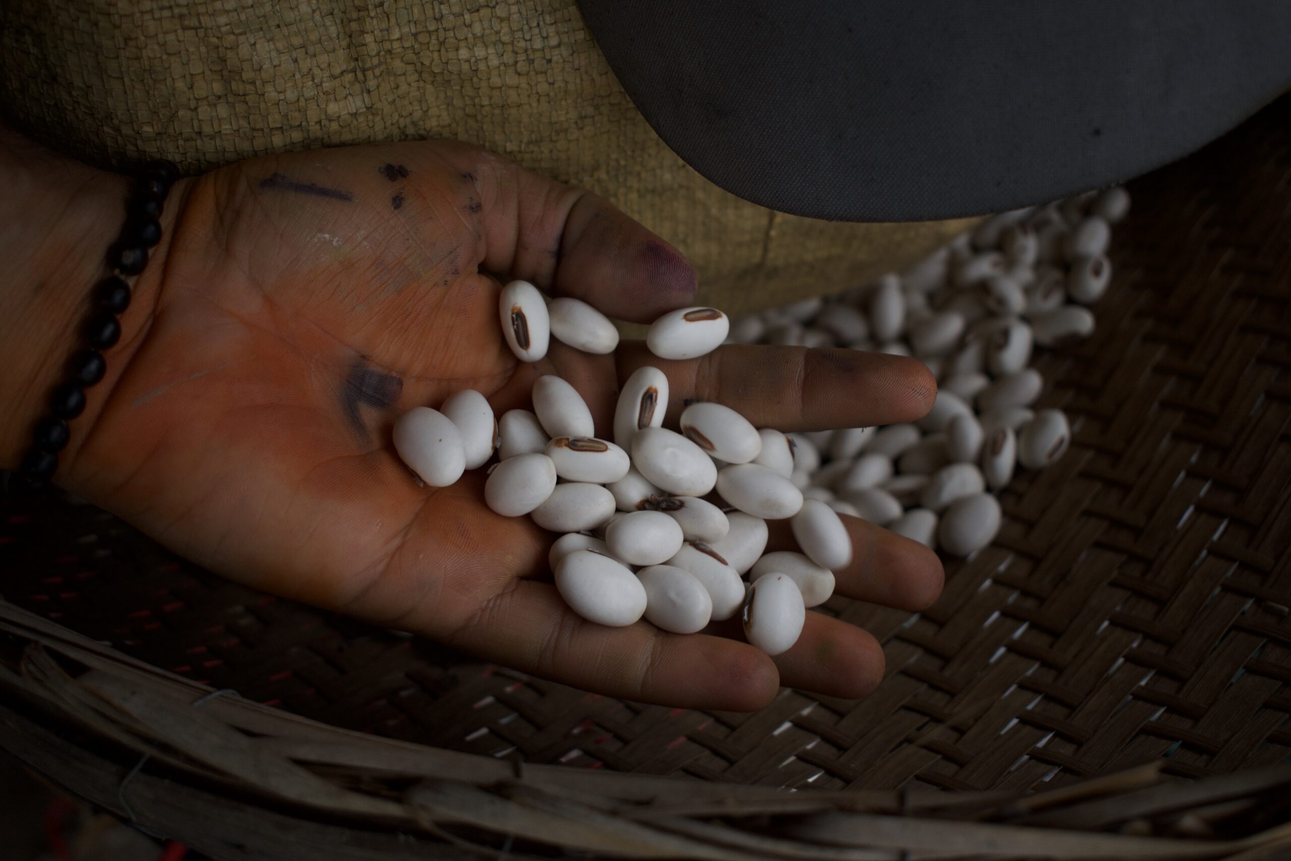 os-feijoes-de-deusdeia_gilcaflores_06