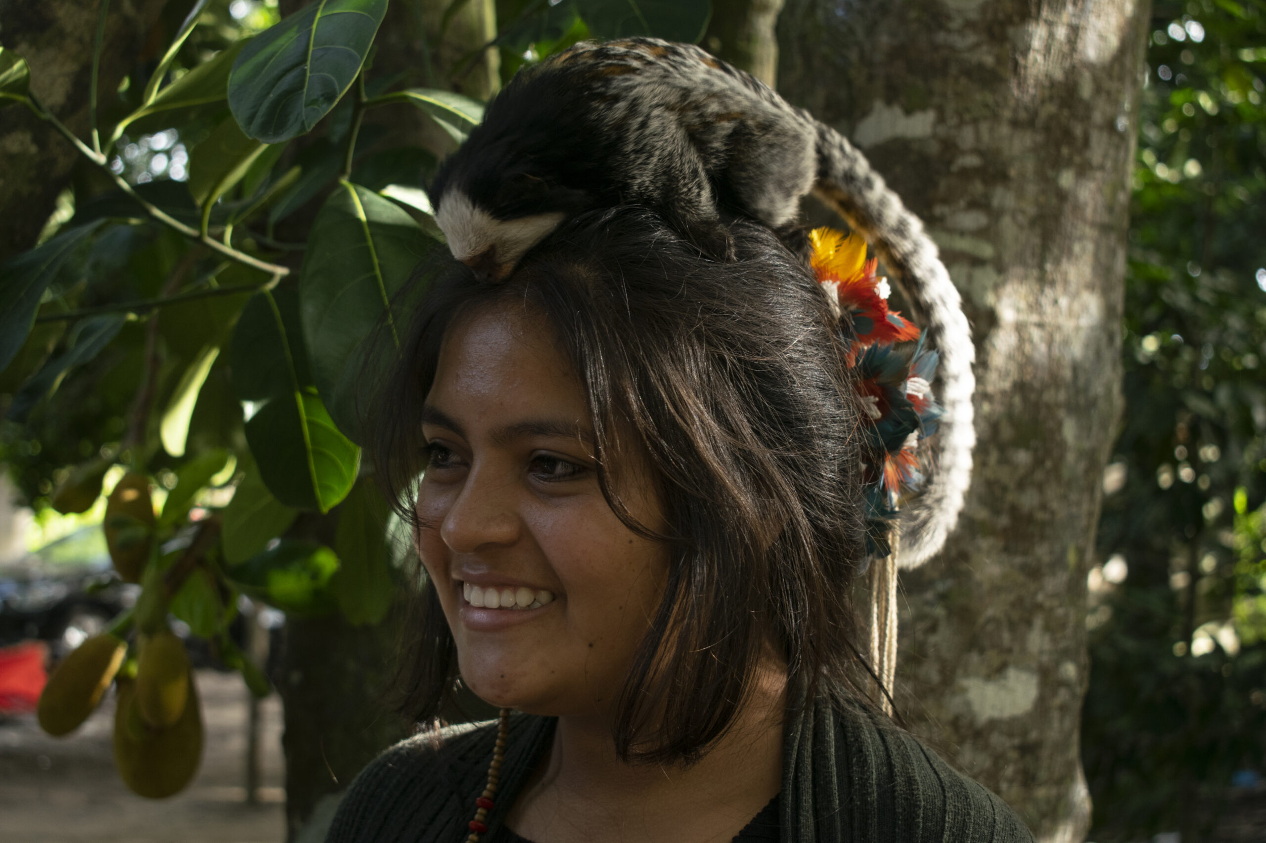 potydjú-com-sagui_gilcaflores_09