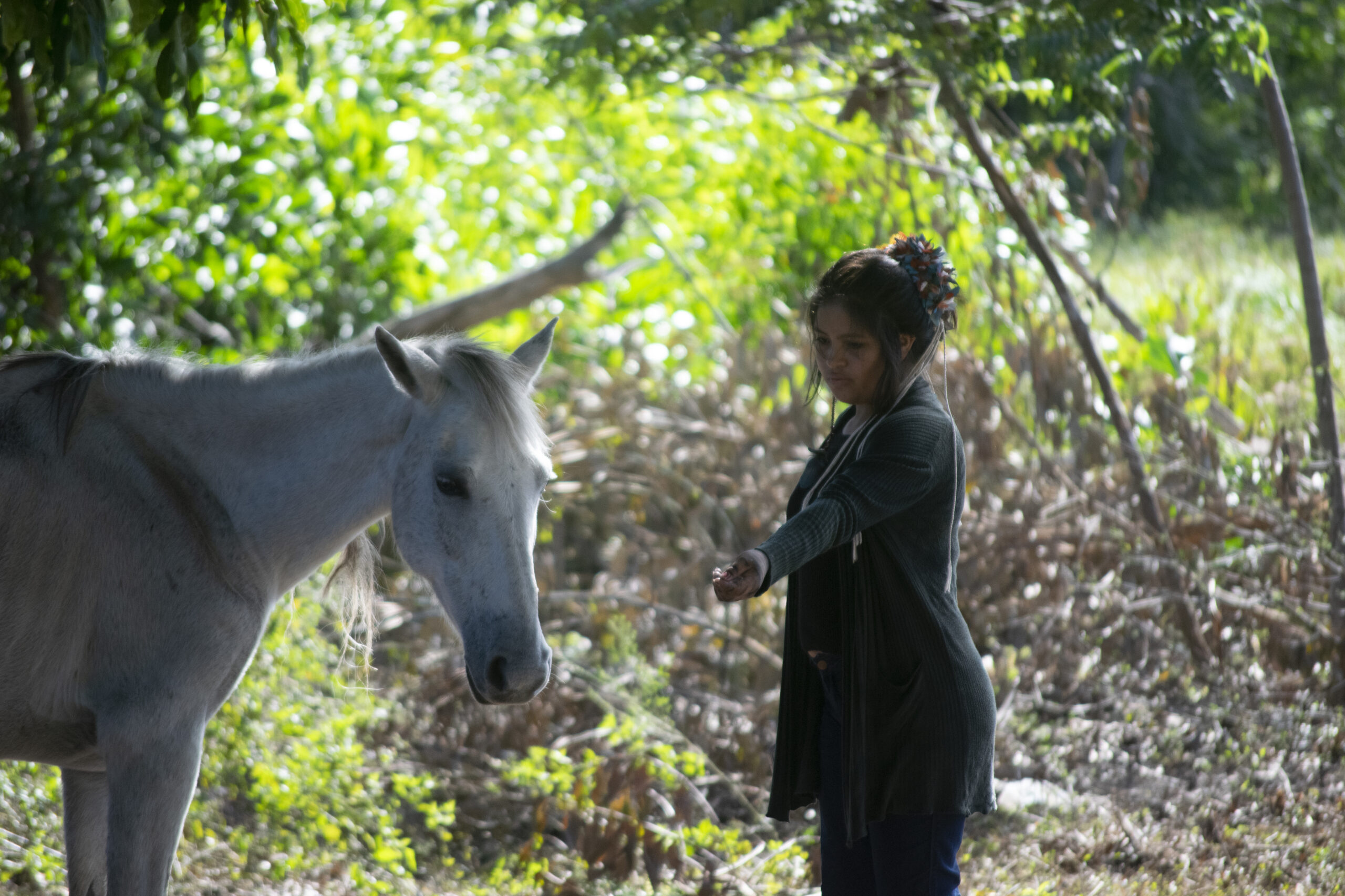 potydjú-e-cavalo_gilcaflores_04