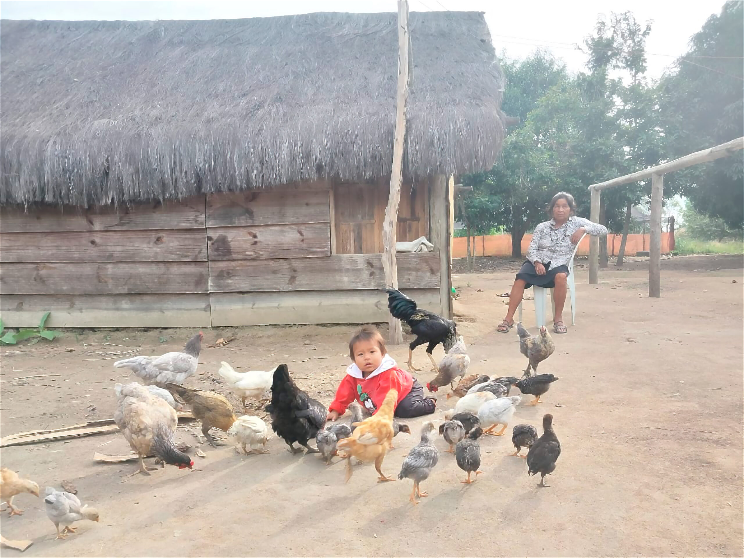 primo-com-galinhas_ana-jenete_12