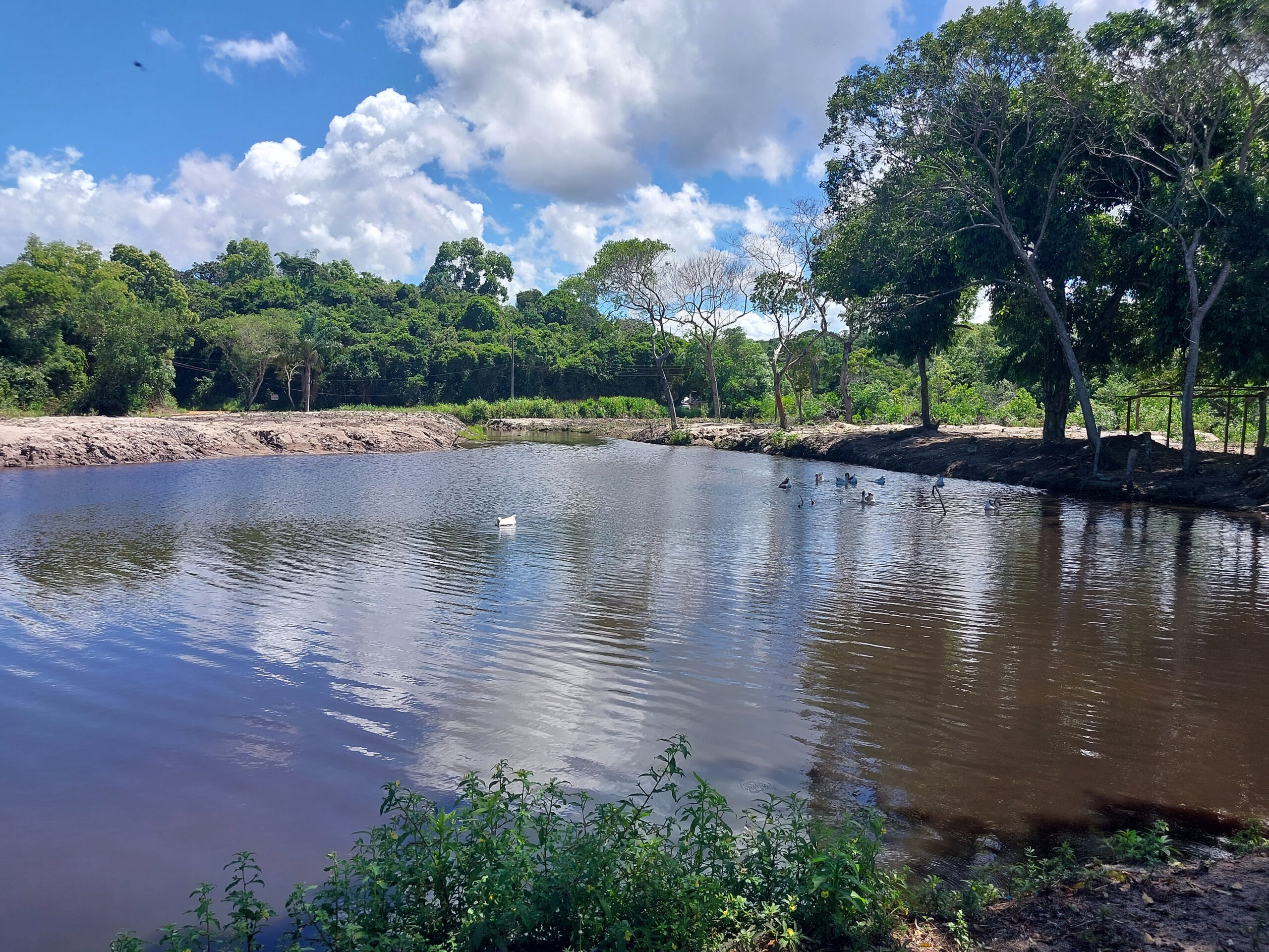 ~tmpFA_[lagoa]_ana-jenete_28