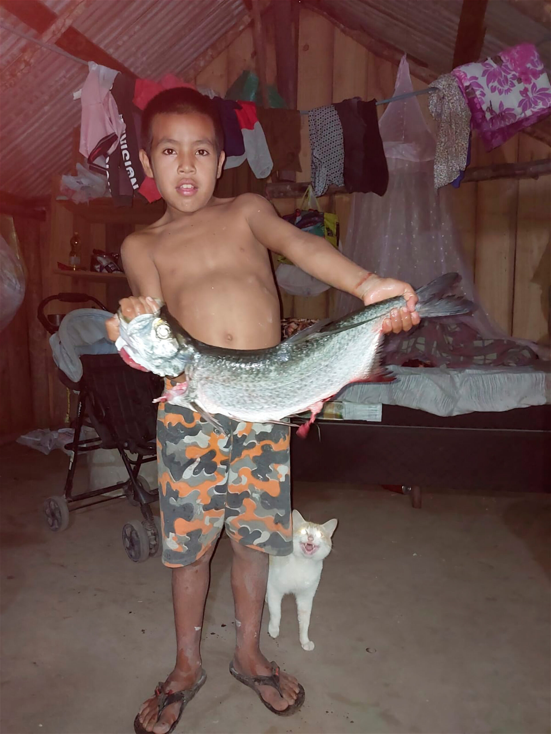 yoni-e-o-peixe_ana-janete_13